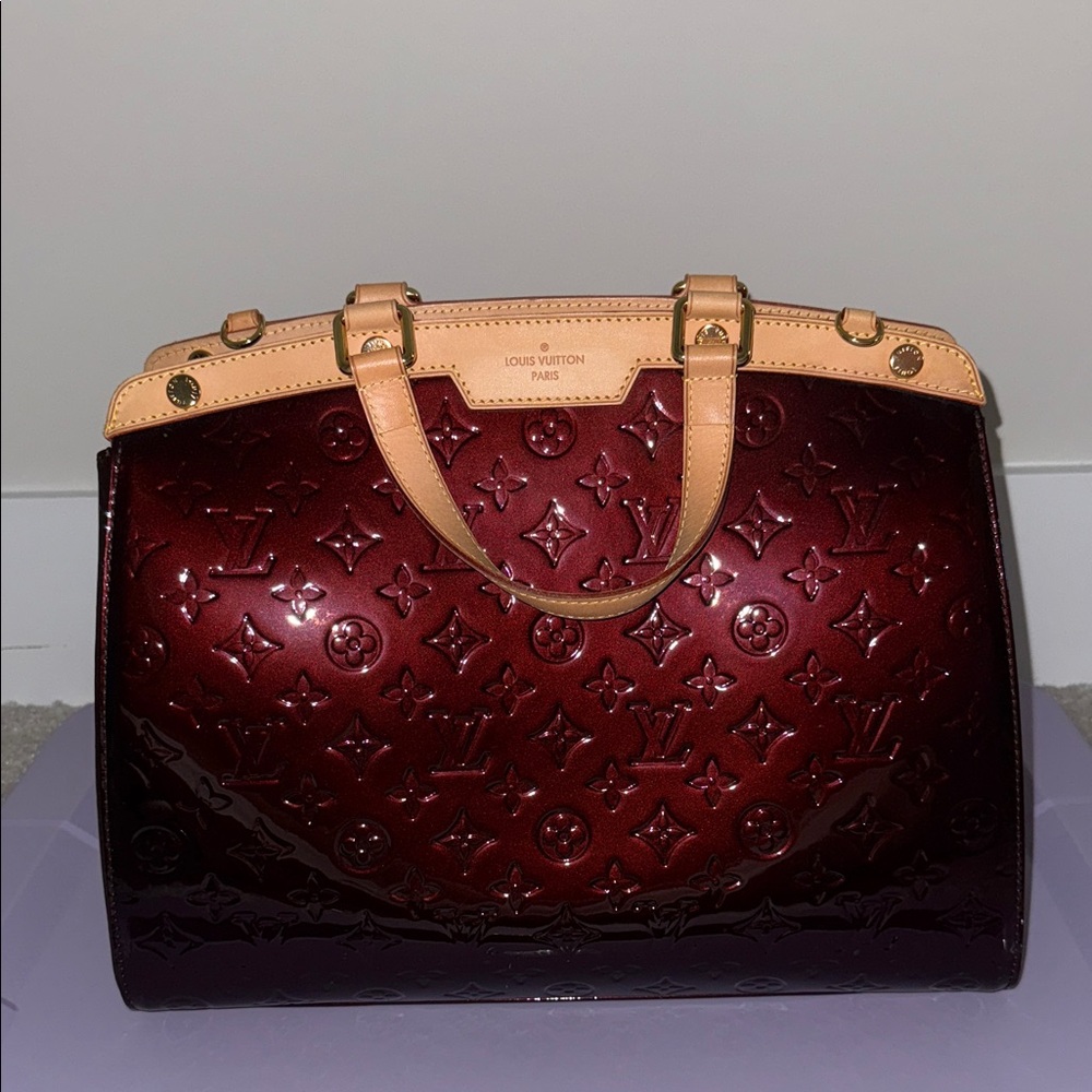 Louis Vuitton Deep Red Bag